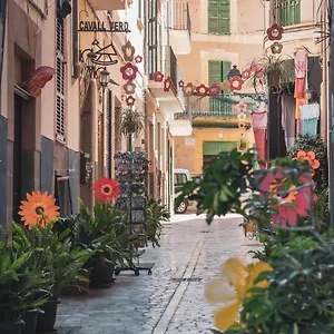 Ca's Cuscanti , Sóller Spagna